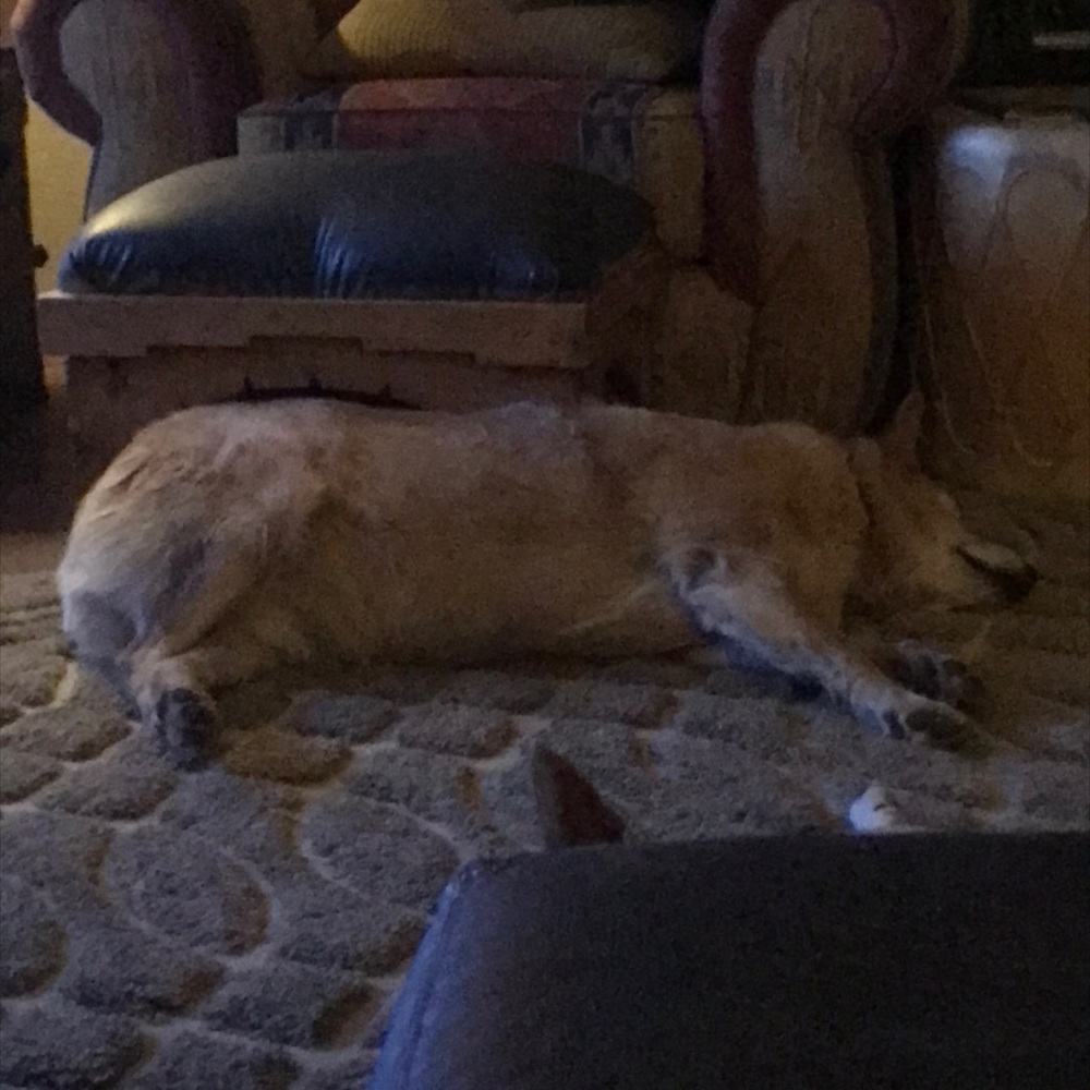 Meet your Posher, Laura